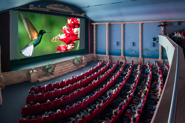 Filme für die Erde Festival 2021